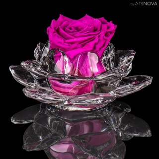 SET LA ROSA GLASS MAX d.12  FEELING - H&F Fragrance - Bouquet Fiorito 30 ml - FUCSIA COLOR