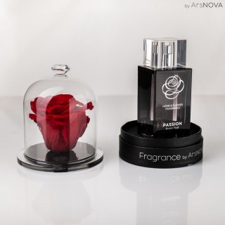 SET DIAMOND ENCHANTED ROSE 10 cm  - PASSION H&F F.100 ml Rosa Taif - Red Color
