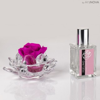 LA ROSA GLASS FEELING - Home & Flower Fragrance - Bouquet Fiorito 30 ml - FUCSIA COLOR