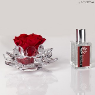 SET LA ROSA GLASS MAX d.12  PASSION - H&F Fragrance - RosaTaif  30 ml - RED COLOR