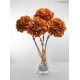 HYDRANGEA PREMIUM d.20/25 cm - h 50 cm ORANGE