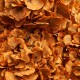 HYDRANGEA PREMIUM d.20/25 cm - h 50 cm ORANGE