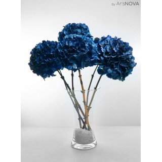 HYDRANGEA PREMIUM d.20/25 cm - h 50 cm BLUE