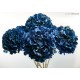 HYDRANGEA PREMIUM d.20/25 cm - h 50 cm BLUE