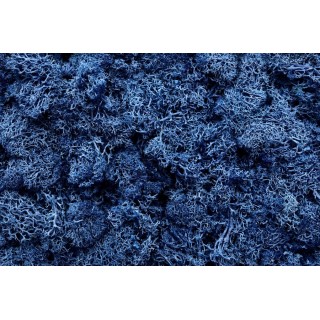 LICHENE WINDOW BOX 500 gr  BLUE 704