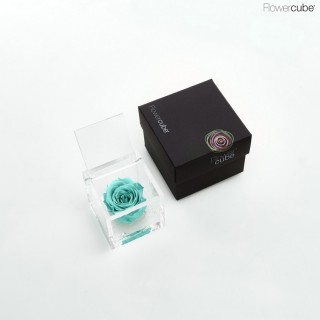 FLOWERCUBE SPECIAL ED. ROSA 6X6 + PACKAGING - TURCHESE/TURQUOISE