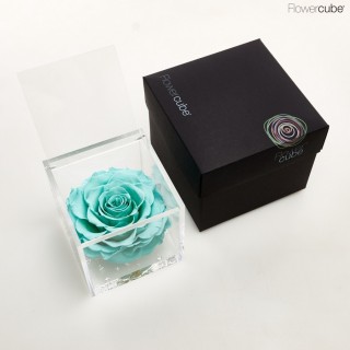 FLOWERCUBE SPECIAL ED. ROSA 10X10 + PACKAGING - TURCHESE/TURQUOISE