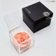 FLOWERCUBE SPECIAL ED. ROSA 10X10 + PACKAGING - PESCA/PEACH