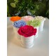 6 FLOWERS BOX BIANCO PROFUMATE - 6 pz d 10 cm - COLORI BLU GLICINE, VERDE PASTELLO, LILLA