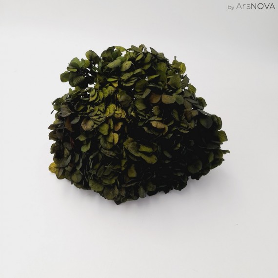 HYDRANGEA STANDARD  GREEN d.18/22 cm