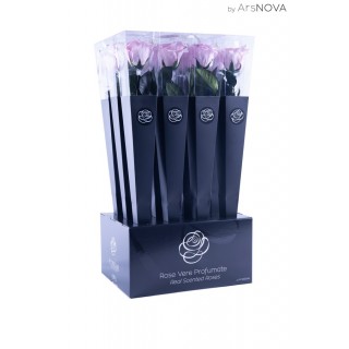 CONE BOX d.6 h.50 - SCENTED ROSE WITH STEM - PINK