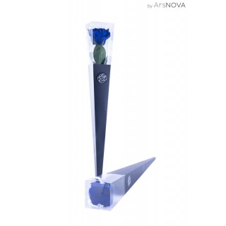 CONE BOX d.6 h.50 - SCENTED ROSE WITH STEM - BLUE