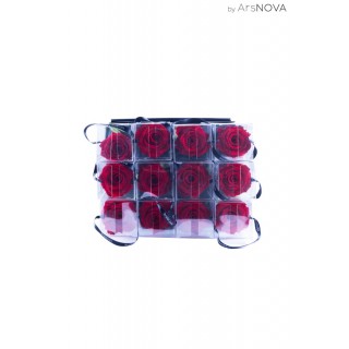 H.35 TRANSPARENT BOX d.6 - SCENTED ROSE WITH STEM - RED