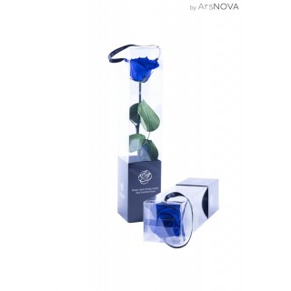 TRANSPARENT BOX d.6 h.30 - SCENTED ROSE WITH STEM - BLU
