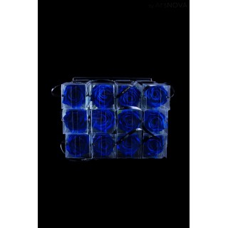 TRANSPARENT BOX d.6 h.30 - SCENTED ROSE WITH STEM - BLU