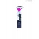 TRANSPARENT BOX d.6 h.30 - SCENTED ROSE WITH STEM - FUCSIA