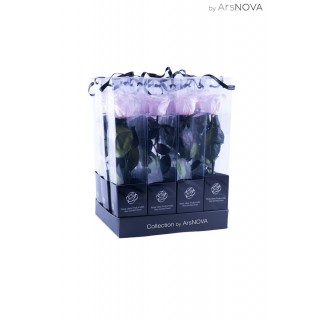 TRANSPARENT BOX d.6 h.30 - SCENTED ROSE WITH STEM - PINK