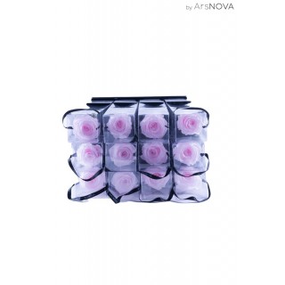 H.35 TRANSPARENT BOX d.6 - SCENTED ROSE WITH STEM - PINK