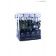 TRANSPARENT BOX d.6 h.30 - SCENTED ROSE WITH STEM - WHITE