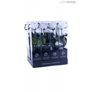 TRANSPARENT BOX d.6 h.35 - SCENTED ROSE WITH STEM - WHITE
