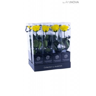 TRANSPARENT BOX d.6 h.35 - SCENTED ROSE WITH STEM - YELLOW