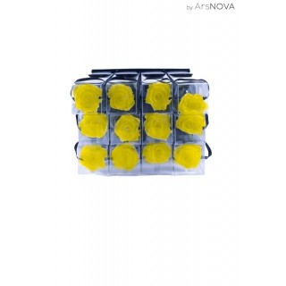 TRANSPARENT BOX d.6 h.30 - SCENTED ROSE WITH STEM - YELLOW