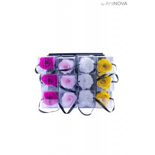 TRANSPARENT BOX d.6 h.30 - SCENTED ROSE WITH STEM - MIX 12 PZ WHITE-YELLOW-PINK-FUCSIA