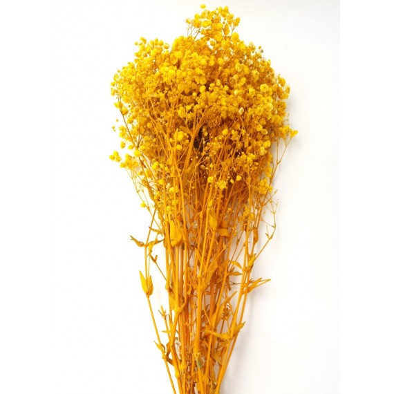 GYPSOPHILA PREMIUM ORANGE H.70 CM 120 gr.