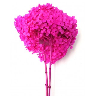 HYDRANGEA MINI d.18/22 cm - h 50/60 cm FUCSIA