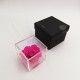 FLOWERCUBE ROSA 12X12 + PACKAGING - FUCSIA/FUCHSIA