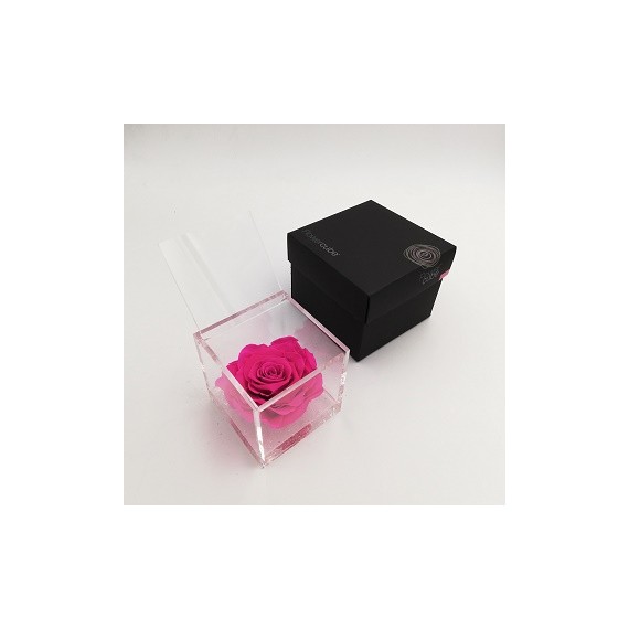 FLOWERCUBE ROSA 12X12 + PACKAGING - FUCSIA/FUCHSIA