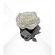 CHRISTMAS FLOWERBOX NERO 10 ROSA GLITTER ARGENTO PROFUMATE + PACKAGING - COLORE BIANCO