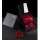 FLOWERCUBE PLATINUM ESSENCE DOOR 9 ROSE 150 X 150 X h170 + PACKAGING - COLORE ROSSO