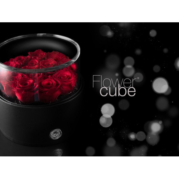 FLOWERCUBE PLATINUM CYLINDER 21 ROSE d. 250 X h 110 + PACKAGING - COLORE ROSSO