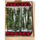 MASTERBOX ROSA CON GAMBO H. 50  (IN SCATOLE DA 65 PZ.)