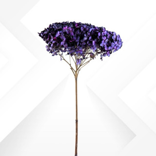 HYDRANGEA MINI d.18/22 cm - h 50/60 cm PURPLE