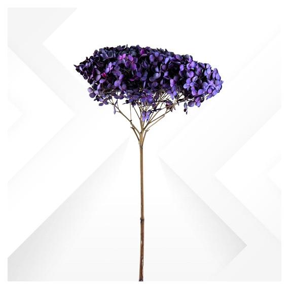 HYDRANGEA MINI d.18/22 cm - h 50/60 cm PURPLE