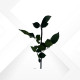 STEM ROSE H. 30