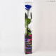 TRANSPARENT BOX d.6 h.55 - SCENTED ROSE WITH STEM - BLUE