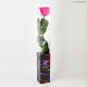 TRANSPARENT BOX d.6 h.55 - SCENTED ROSE WITH STEM - FUCSHIA