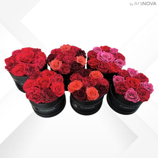 6 FLOWERBOX NERO PROFUMATE - 3 pz d 16 cm 3 pz d 18 cm - SFUMATE AUTUNNO-INVERNO