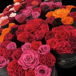 6 FLOWERBOX NERO PROFUMATE - 3 pz d 16 cm 3 pz d 18 cm - SFUMATE ROSSO