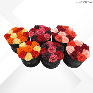 6 FLOWERBOX NERO PROFUMATE - 3 pz d 16 cm 3 pz d 18 cm - SFUMATE AUTUNNO-INVERNO