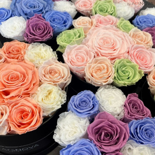 6 FLOWERBOX NERO PROFUMATE - 3 pz d 16 cm 3 pz d 18 cm - SFUMATE PASTELLO-CONTRASTI