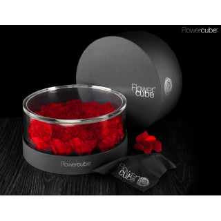 FLOWERCUBE PLATINUM CYLINDER 21 ROSE d. 250 X h 110 + PACKAGING - COLORE ROSSO