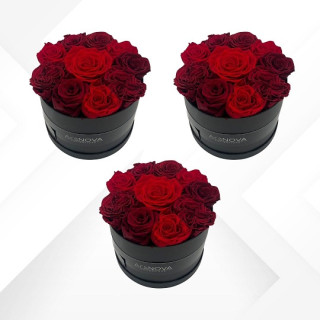 3 FLOWERBOX NERO PROFUMATE - d 18 cm 3 pz - SFUMATE ROSSO