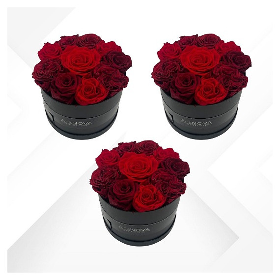3 FLOWERBOX NERO PROFUMATE - d 18 cm 3 pz - SFUMATE ROSSO