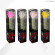 TRANSPARENT BOX d.6 h.30 - SCENTED ROSE WITH STEM - MIX 12 PZ WHITE-YELLOW-PINK-FUCSIA