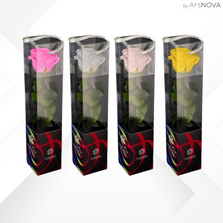 TRANSPARENT BOX d.6 h.30 - SCENTED ROSE WITH STEM - MIX 12 PZ WHITE-YELLOW-PINK-FUCSIA