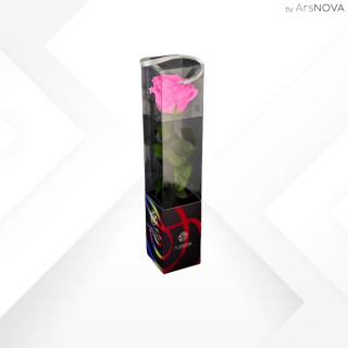 TRANSPARENT BOX d.6 h.30 - SCENTED ROSE WITH STEM - FUCSIA